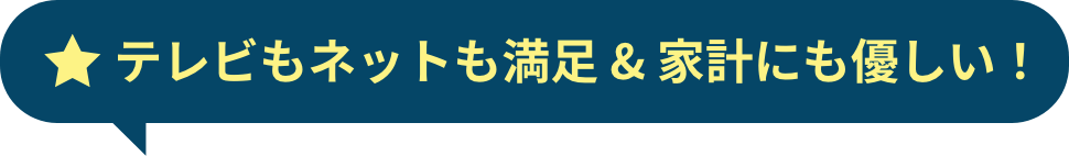 テレビもネットも満足&家計にも優しい！